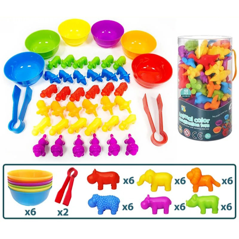 Sorting Fun – Educational Sorting Game for Creative Little Explorers