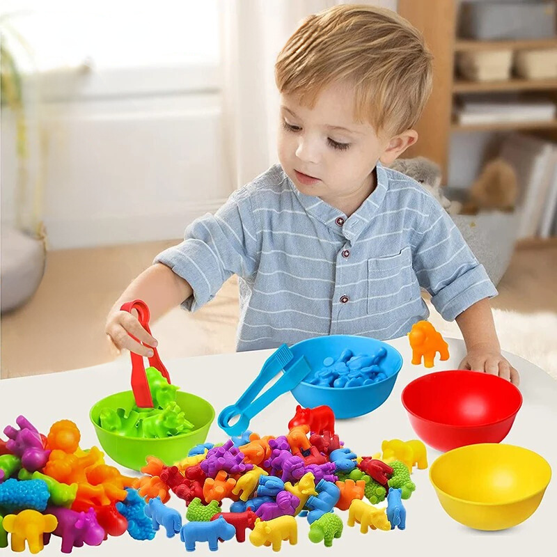 Sorting Fun – Educational Sorting Game for Creative Little Explorers