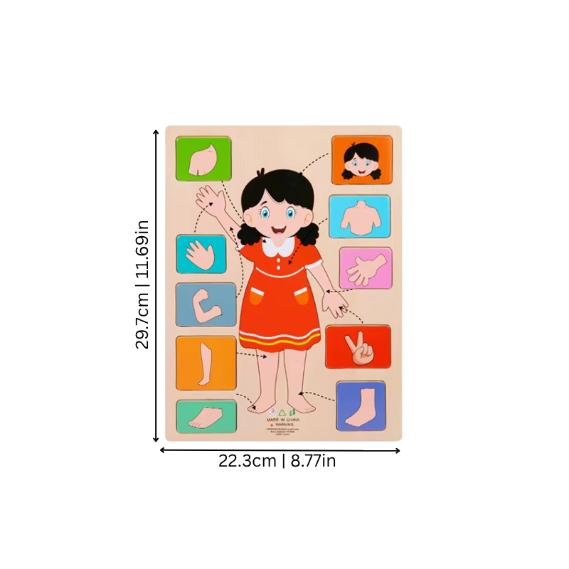 BodyPuzzle – Montessori Human Body Wooden Puzzle for Hands-On Learning
