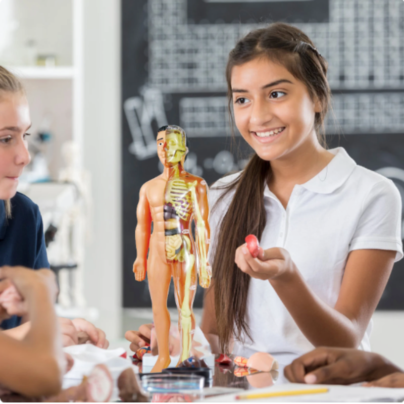 Body Knowledge Set – Interactive 3D Human Anatomy Learning Toy for Kids