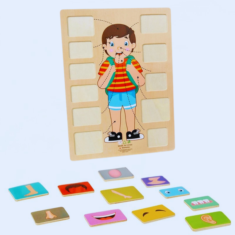 BodyPuzzle – Montessori Human Body Wooden Puzzle for Hands-On Learning