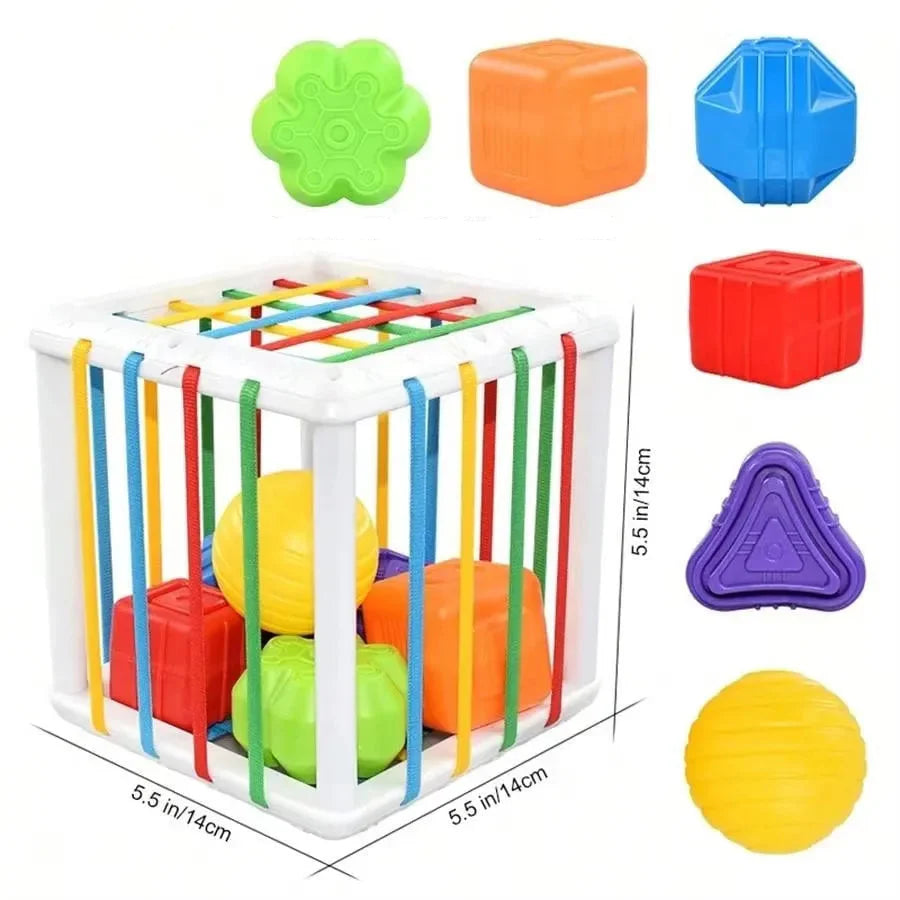 Learn Through Play – Montessori Shape Sorting & Motor Skills Box
