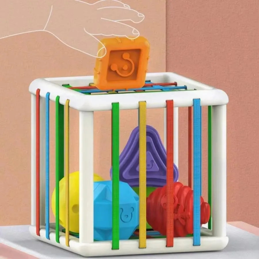 Learn Through Play – Montessori Shape Sorting & Motor Skills Box