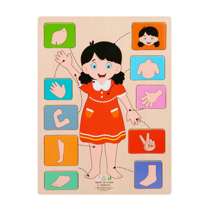 BodyPuzzle – Montessori Human Body Wooden Puzzle for Hands-On Learning