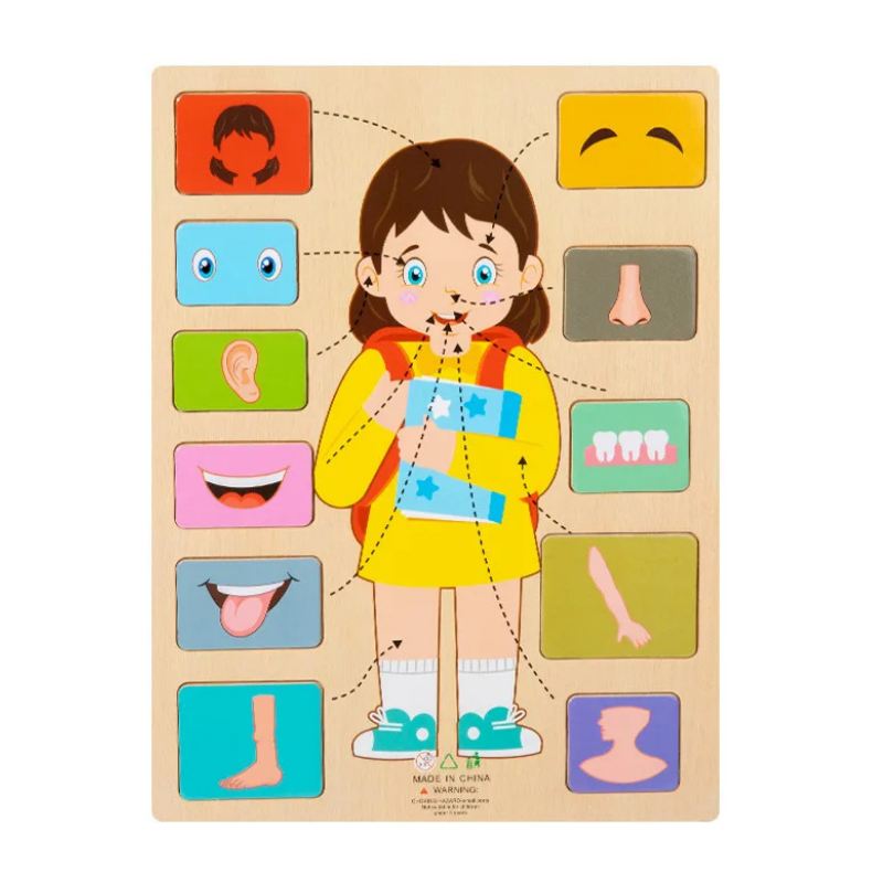 BodyPuzzle – Montessori Human Body Wooden Puzzle for Hands-On Learning