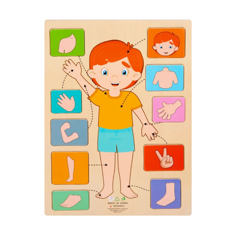 BodyPuzzle – Montessori Human Body Wooden Puzzle for Hands-On Learning
