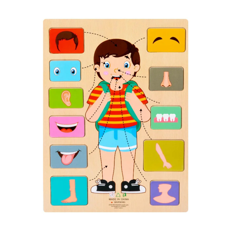BodyPuzzle – Montessori Human Body Wooden Puzzle for Hands-On Learning